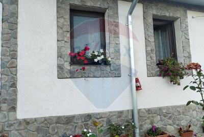 Casa individuala cu teren de 3.414 mp, Comuna Comarna - 4