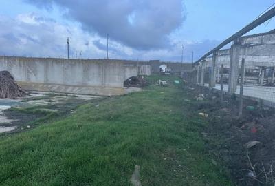 Teren de 2697 mp, în Valu lui Traian - 4