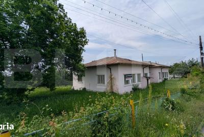 Casă cu 5 camere cu Teren 1216 Mp în Central - 12