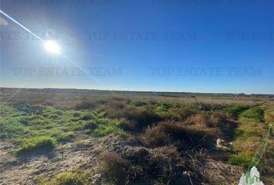 TEREN INTRAVILAN BOREAL - 4