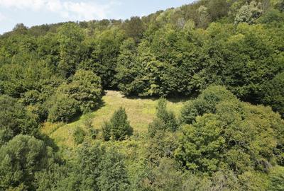 Teren de 1500 mp, în Moneasa