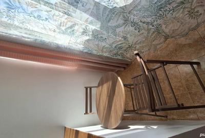 Proprietar inchiriez garsoniera - 7