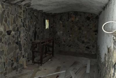 Casă cu Teren 552 Mp în Băiuț - 5