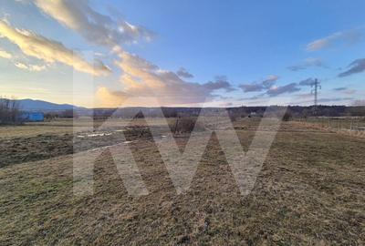 Teren de vanzare - 2.106 mp, agricol extravilan, Calinis, Rasinari - 2