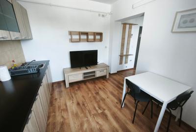 Apartament cu 2 camere decomandat, mobilat în Iosefin - 2