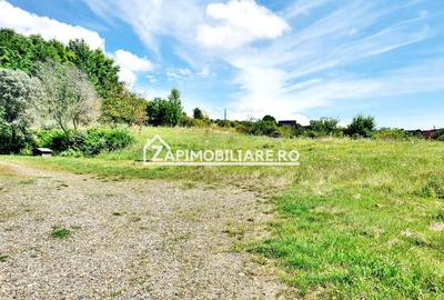 Teren intravilan 3.000 mp.cu deschidere de 40 m la E60 - 4