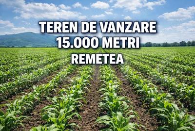 Teren de 15000 mp, în Remetea Mare
