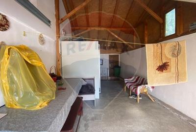 Casă individuală cu 5 camere cu Piscina în Central - 36