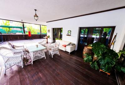 Proprietate unica, independenta energetic, zona Bucium - 8