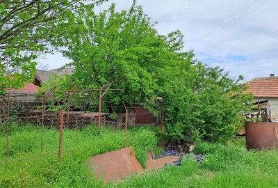 Casă cu 4 camere cu Teren 256 Mp în Oltenița - 5