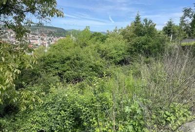 Teren intravilan de vanzare, 1952mp, Dealul Florilor - 1