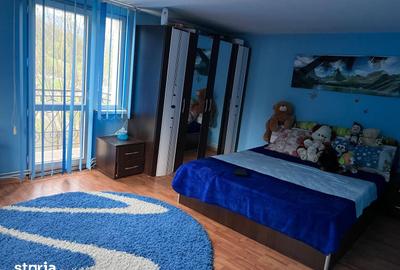 Casă cu 2 camere cu Teren 4368 Mp în Certeju de Sus - 2
