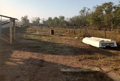 Teren Construcții intravilan de 1036 mp, în Chilia Veche - 5