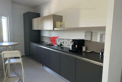 Proprietate Industriala 7000 mp hala in Calea Sagului Timisoara - 13