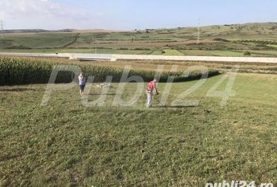 Teren de 5500 mp, în Stejeriș - 3