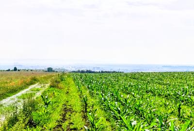 28.554 mp TEREN EXTRAVILAN, TURDA - SĂNDULEȘTI, jud. CLUJ, 300 m de AUTOSTRADA - 10