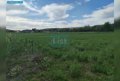 Teren de 22400 mp, în Fundătura - 2