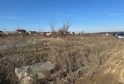 3368MP TEREN CONSTRUCTII MOGOSOAIA, APROAPE DE PRIMARIE, UTILITATI - 4