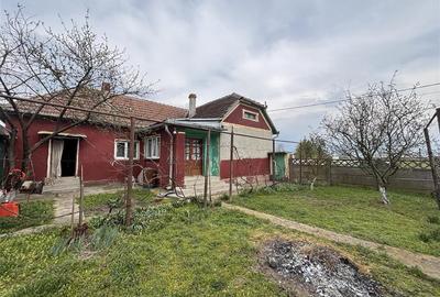 Casă cu 4 camere cu Teren 1654 Mp în Cefa - 3