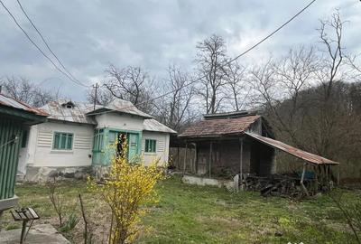 Casă cu 4 camere cu Teren 5000 Mp în Băjenari - 2