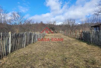 Casă cu Teren 2991 Mp în Cornu - 1