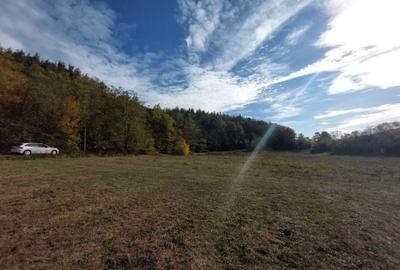 Spațiu comercial, în Cladova - 16