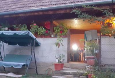 Casă cu 2 camere cu Teren 149 Mp în Orăștie - 7