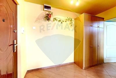 Apartament cu 2 camere de vanzare in zona Aradului - 9
