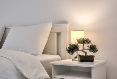 Garsonieră semidecomandată, mobilată în Central - 1