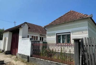 Vand casa la ?ara, Petri? - 4