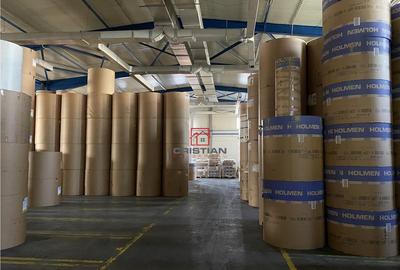 Spațiu comercial, de 13,000 mp, în Berceni - 3