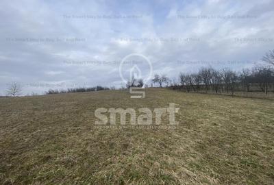 Teren intravilan cu CF 5400mp front 17 Savadisla jud Cluj - 9