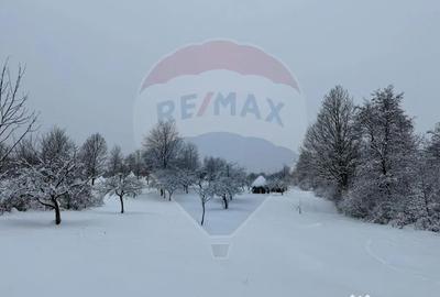 Teren de 4193 mp, în Breb - 9