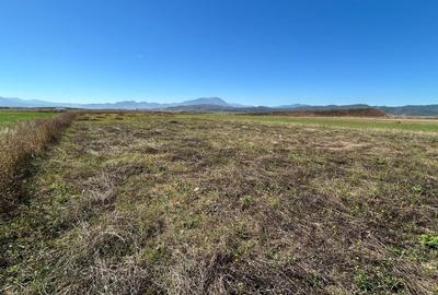 Teren Intravilan Cristian Teren Intravilan Cristian - 2