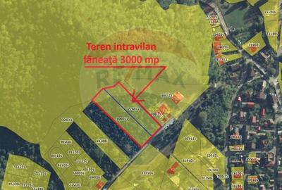 Teren de 3000 mp, în Dâmbul Morii - 4