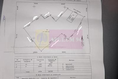 Casă cu 3 camere în Central - 6