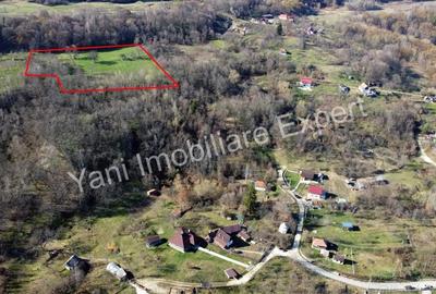 Teren 13.643 mp intravilan de vanzare in Curtea de Arge?. - 17