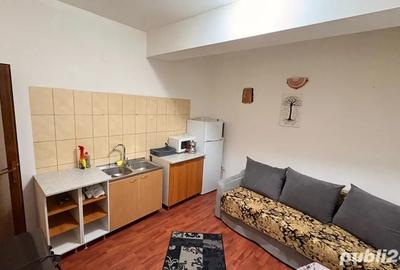 Proprietar inchiriez casa si curte la Dacia,2 camere decomandate - 5