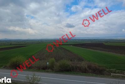 Teren de 5000 mp, în Ozun - 3