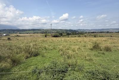 Teren intravilan 500 mp - Tohanul Nou - 2