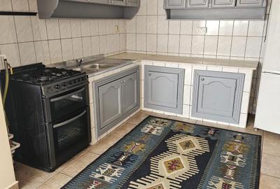 Apartament cu 2 camere decomandat în Bratia din Deal - 4