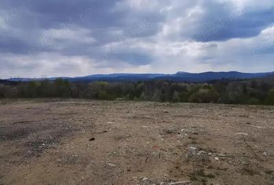 Teren investitie dezvoltator imobiliar km 7 Calea Caransebesului 20 euro negociabil - 10