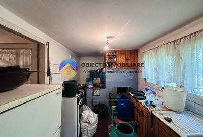 Casa traditionala Bodesti - 9