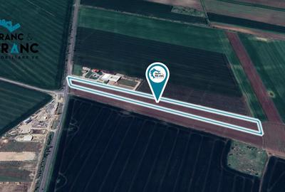 Teren extravilan de 28.000 m2,in Vladimirescu(ID:30227) - 2