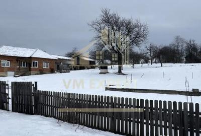 Casă cu 4 camere cu Teren 3038 Mp în Albești - 1