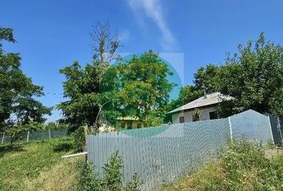 Casă cu 3 camere cu Teren 1900 Mp în Ion Creangă - 7