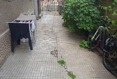 Dacia-Toamnei singur in curte - 3