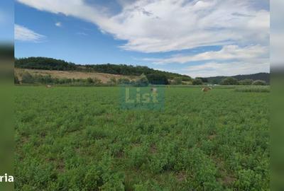 Teren de 22400 mp, în Iclod - 3