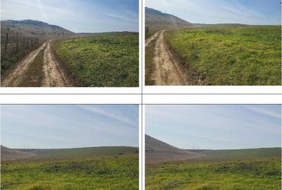 Teren de 10000 mp, în Mineri - 4
