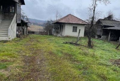 Casa batraneasca de vanzare - 6
